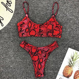 Leopard Printed High Cut Bikinis Set